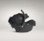 joie_polska_i-starter_-raven-2-1.jpg
